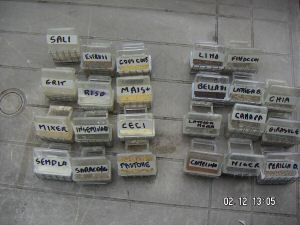 10 07 alimentazione.jpg